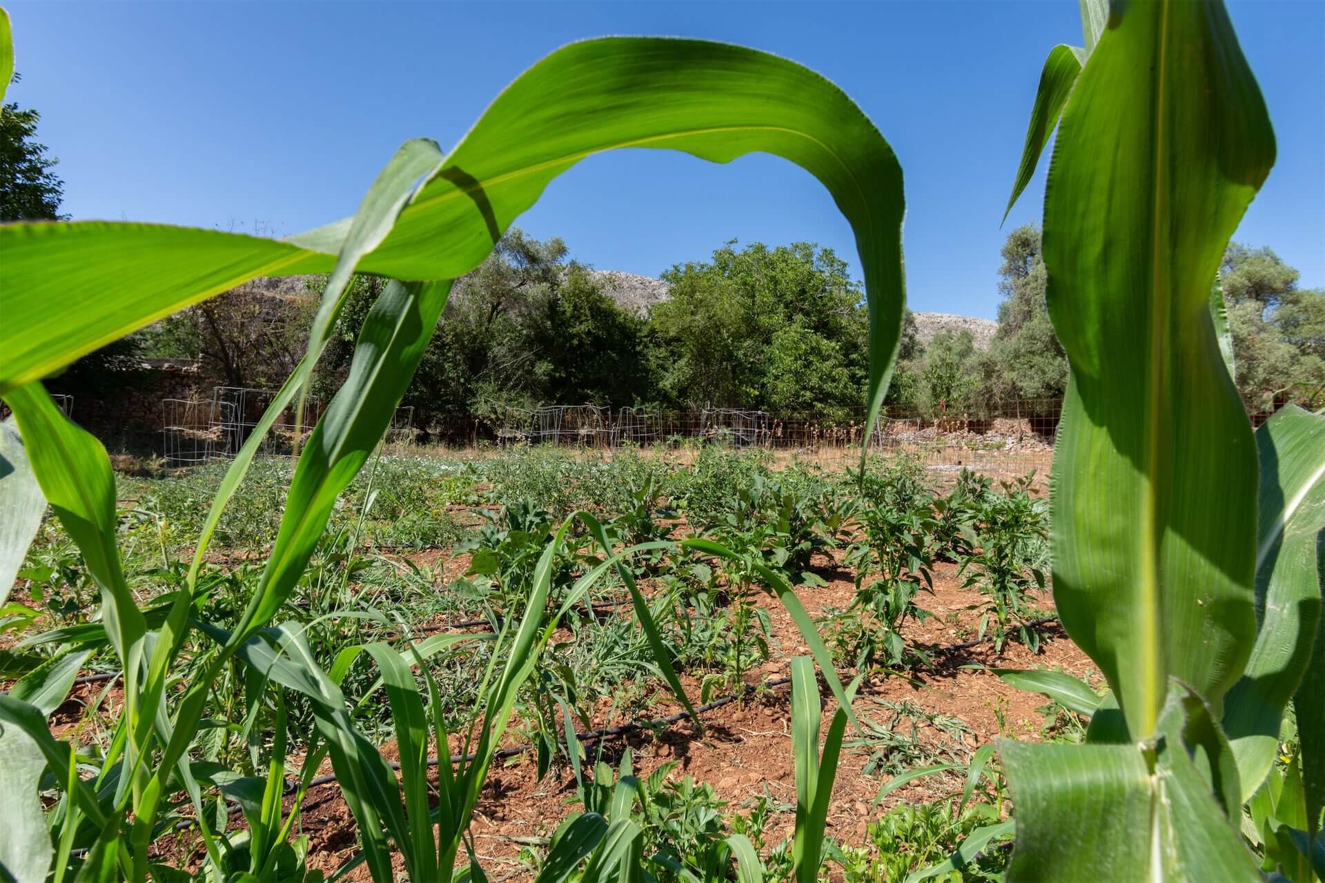 More Than Just Accommodation