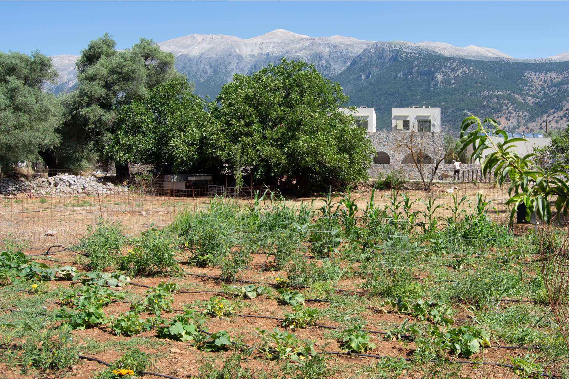 More Than Just Accommodation