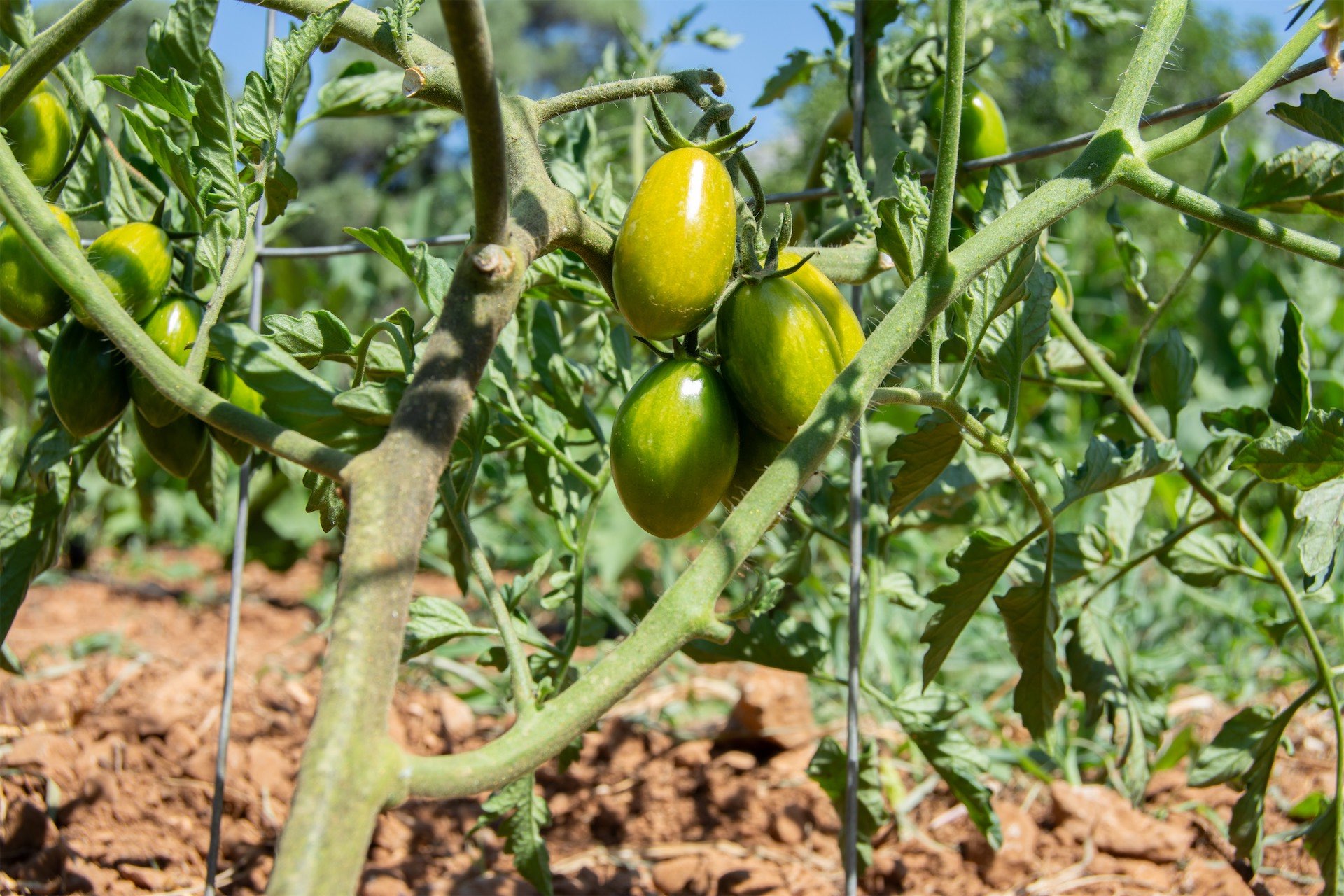 More Than Just Accommodation